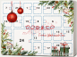 Preview: Dog & Co Adventskalender für Hunde